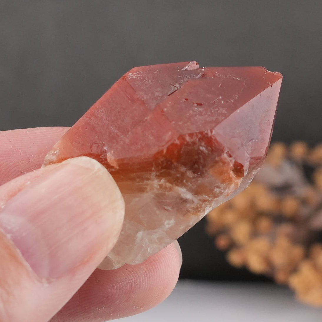 天然石 レッドドリームコート レムリアンシード マスタークリスタル|内なる記憶を呼び覚ます、赤の叡智