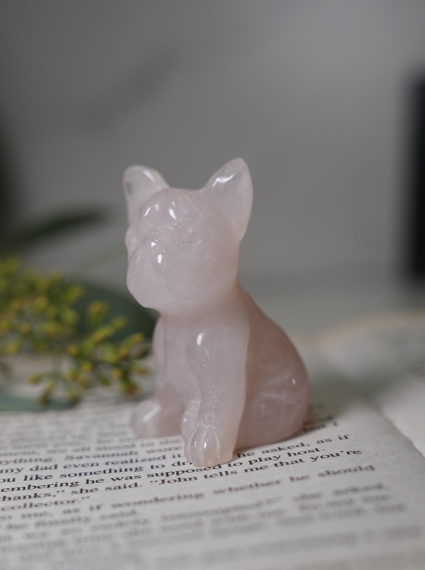 ローズクォーツ フレンチブルドック|優しく寄り添ってくれる Rose Quartz French Bulldog
