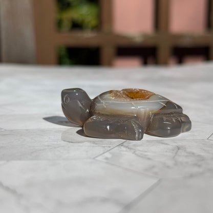 送料無料 アゲート ドゥルージー 瑪瑙 カメ 亀