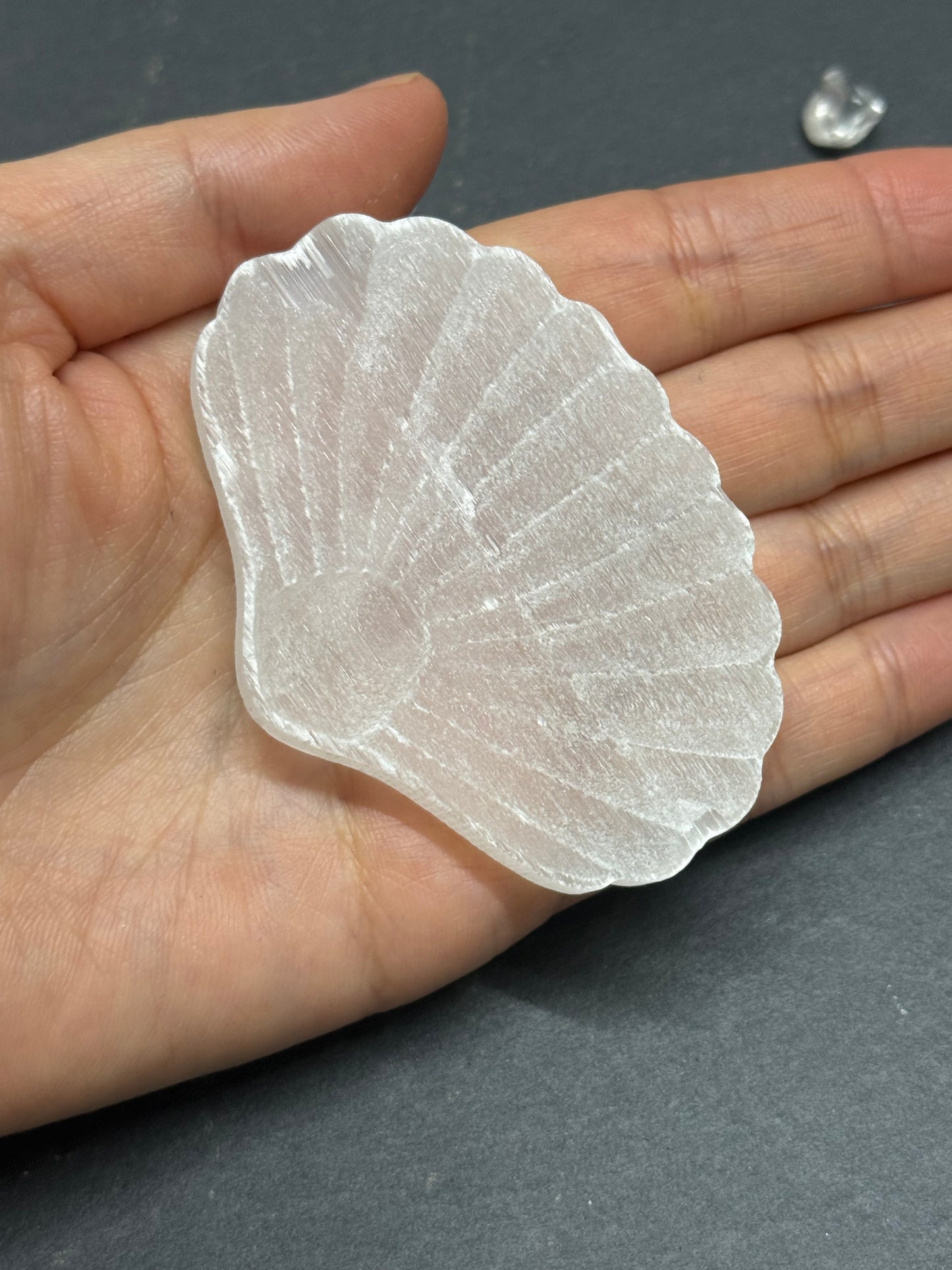 セレナイト 貝 シェル 浄化プレート A｜未来へ進む意図を澄ませる光の守り