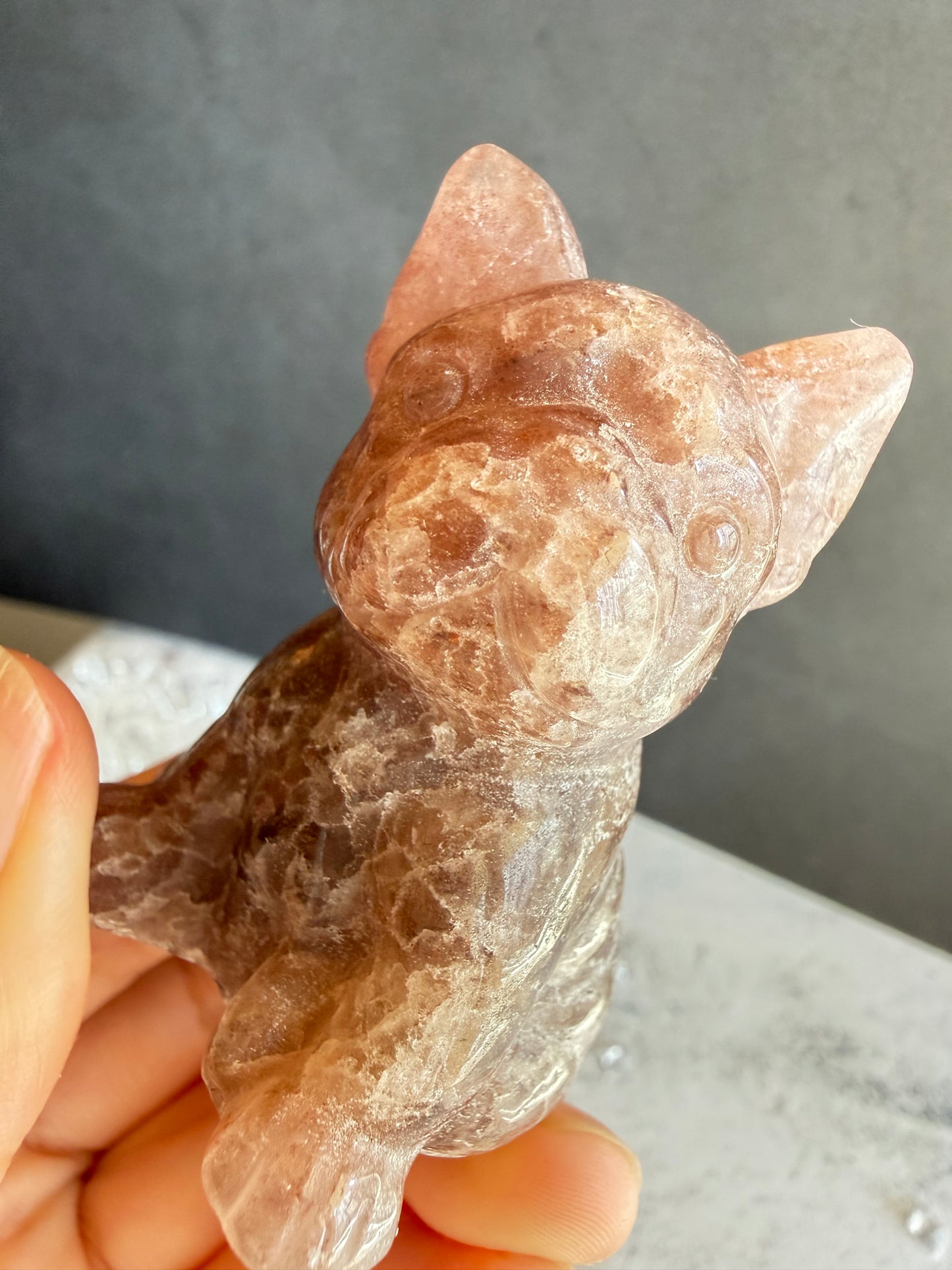 ストロベリークォーツ ブルドッグ 犬