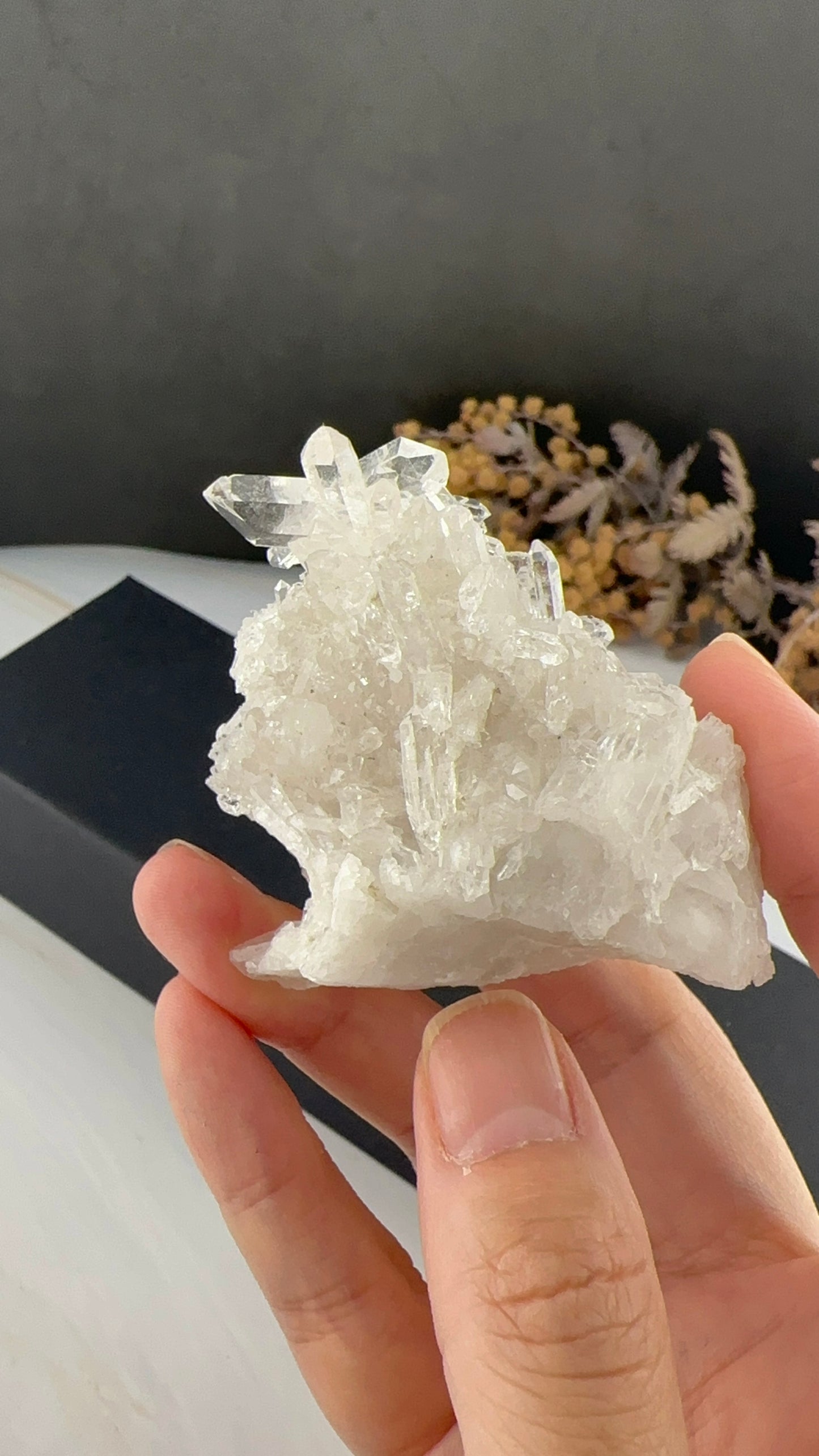 ブラジル コリント産 水晶｜澄みきった光を宿すハイクオリティクリスタル