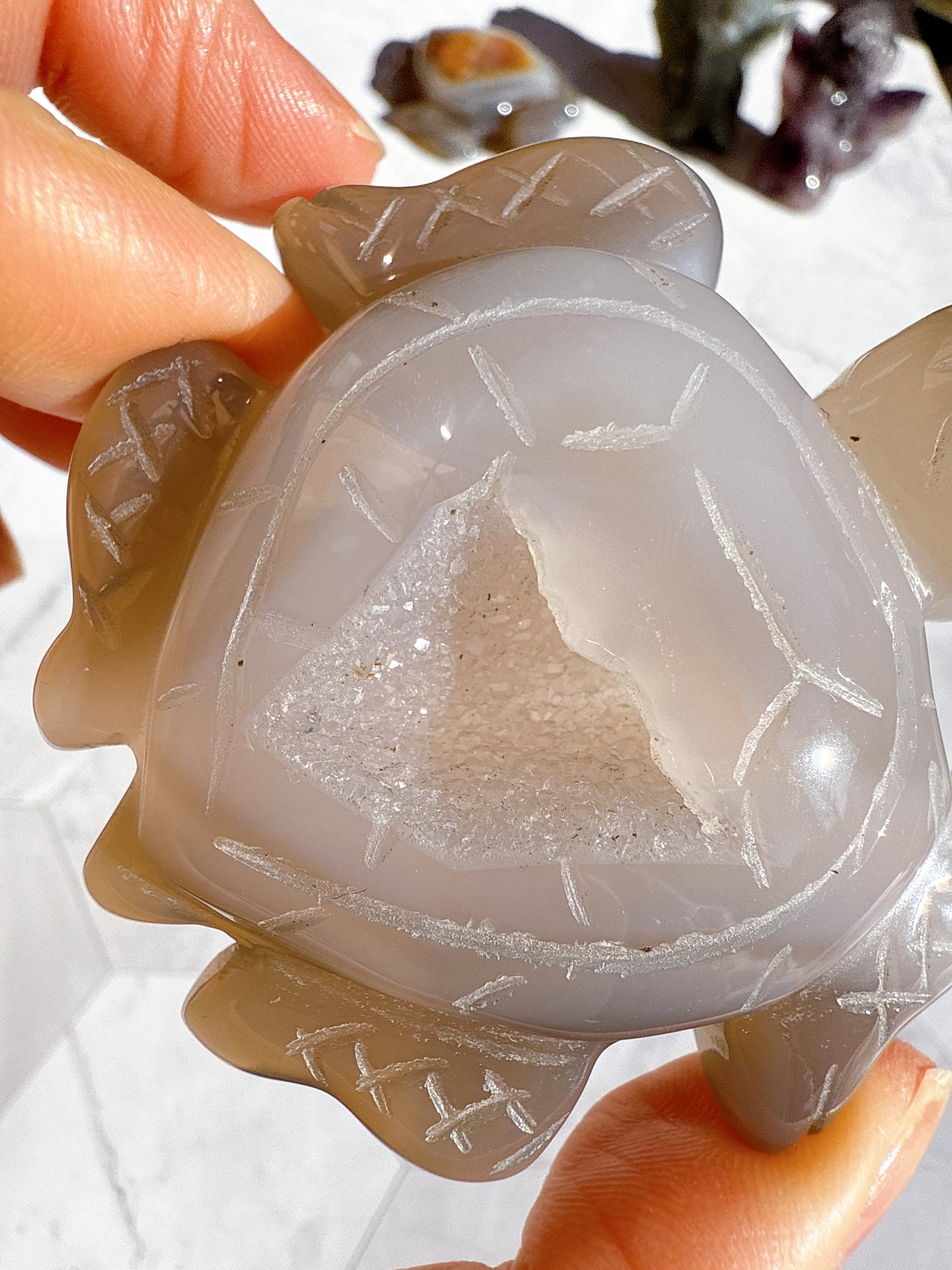 送料無料 アゲート ドゥルージー 瑪瑙 カメ 亀