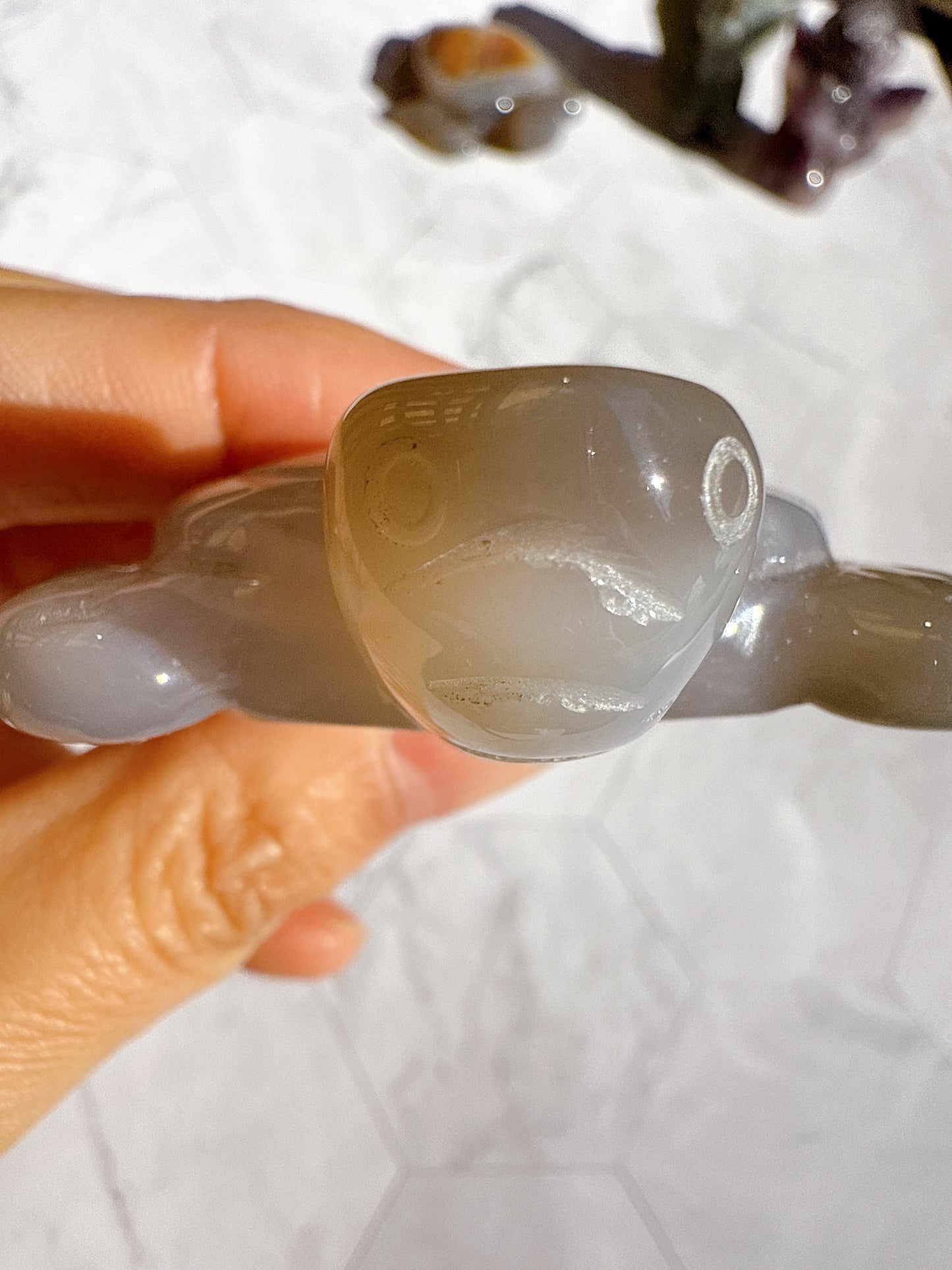 送料無料 アゲート ドゥルージー 瑪瑙 カメ 亀