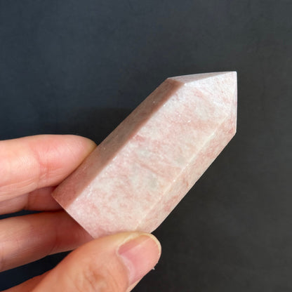 ルージュジェイド 翡翠 タワー Jade Tower