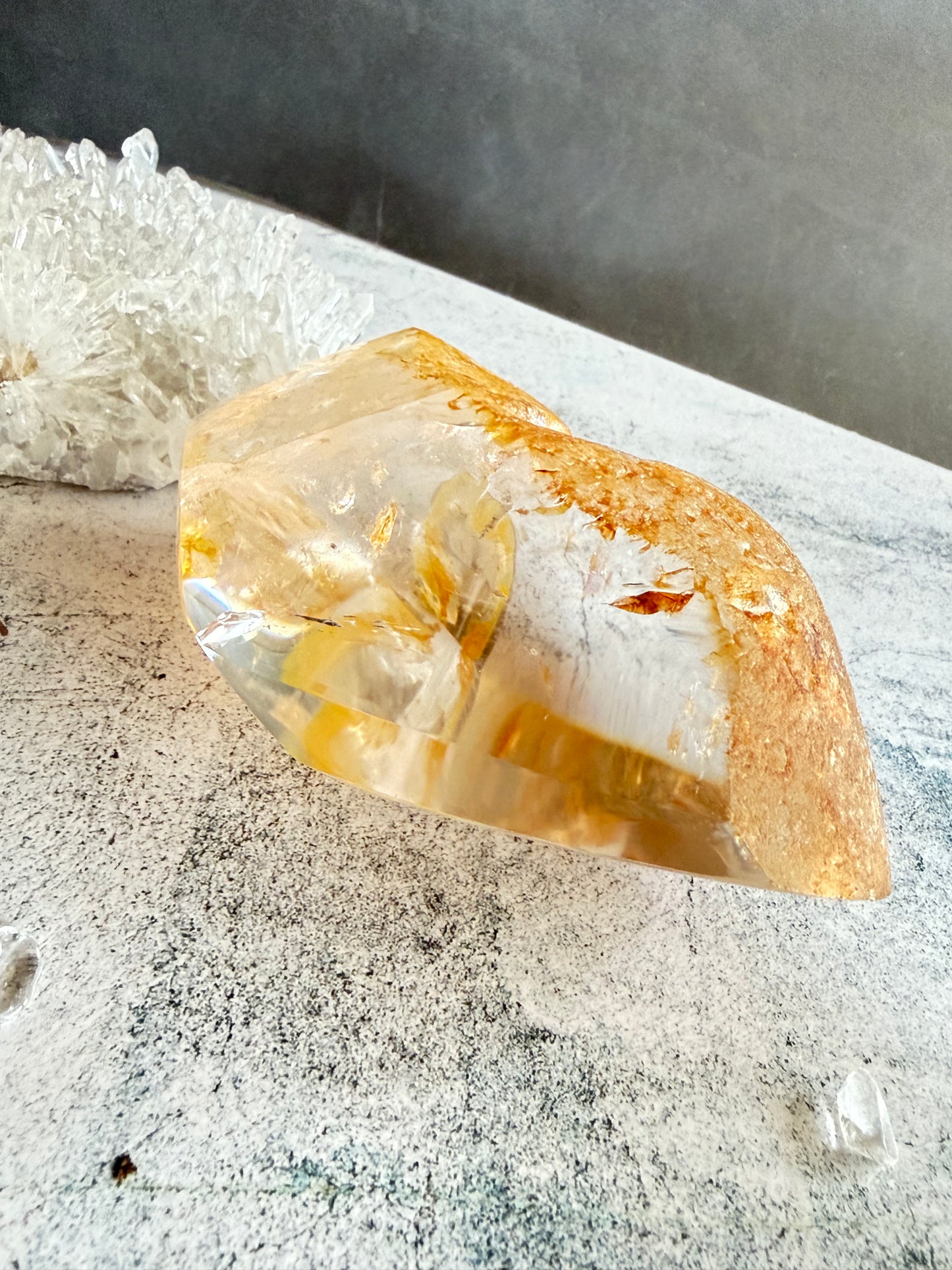 ゴールデンヒーラー フリーフォーム 虹あり