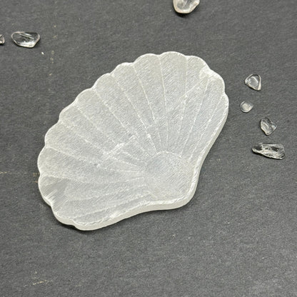 セレナイト 貝 シェル 浄化プレート A｜未来へ進む意図を澄ませる光の守り