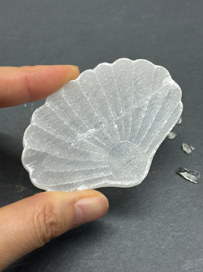 セレナイト 貝 シェル 浄化プレート A｜未来へ進む意図を澄ませる光の守り