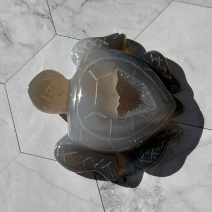送料無料 アゲート ドゥルージー 瑪瑙 カメ 亀