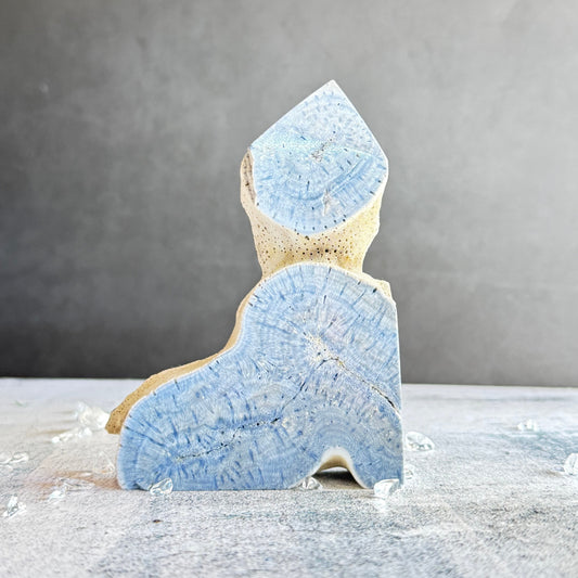 ブルーコーラル タワー スラブ