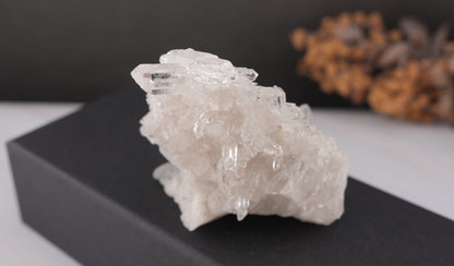 ブラジル コリント産 水晶｜澄みきった光を宿すハイクオリティクリスタル