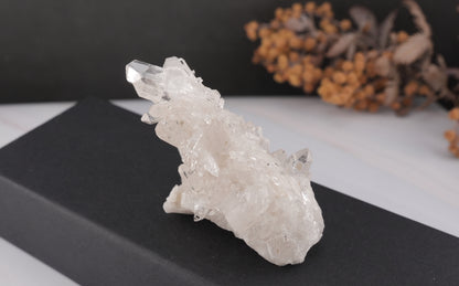 ブラジル コリント産 水晶｜澄みきった光を宿すハイクオリティクリスタル