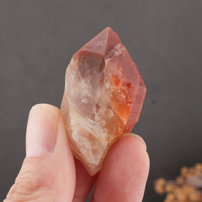 天然石 レッドドリームコート レムリアンシード マスタークリスタル｜内なる記憶を呼び覚ます、赤の叡智