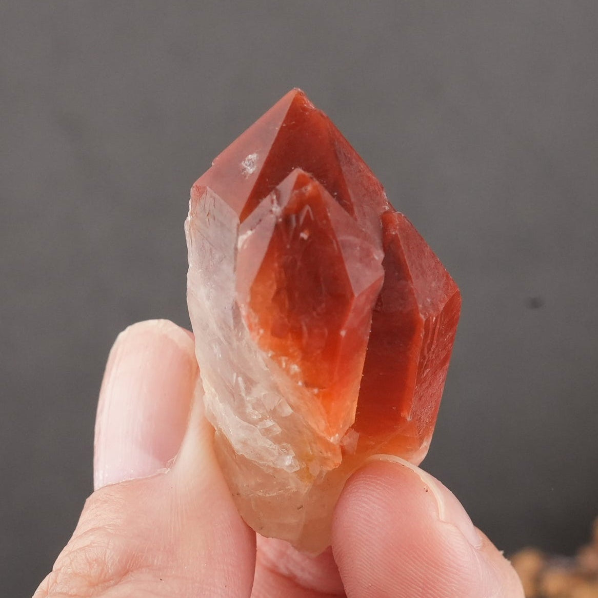 天然石 レッドドリームコート レムリアンシード マスタークリスタル｜内なる記憶を呼び覚ます、赤の叡智