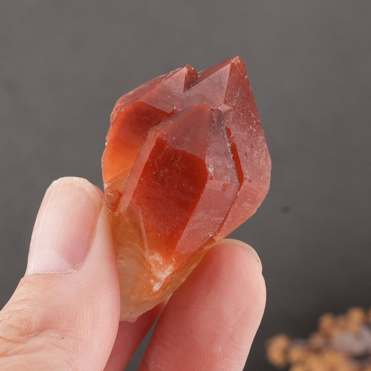 天然石 レッドドリームコート レムリアンシード マスタークリスタル｜内なる記憶を呼び覚ます、赤の叡智