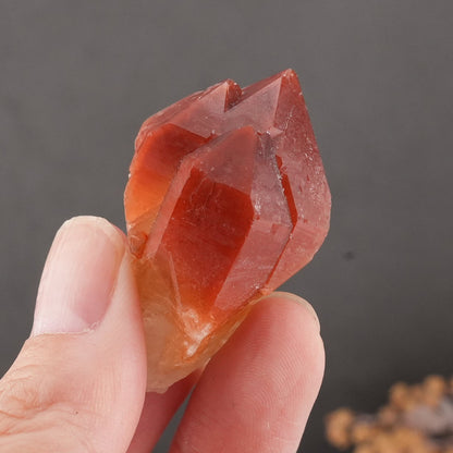 天然石 レッドドリームコート レムリアンシード マスタークリスタル｜内なる記憶を呼び覚ます、赤の叡智