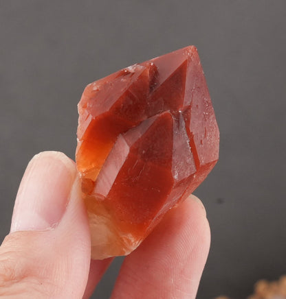 天然石 レッドドリームコート レムリアンシード マスタークリスタル｜内なる記憶を呼び覚ます、赤の叡智