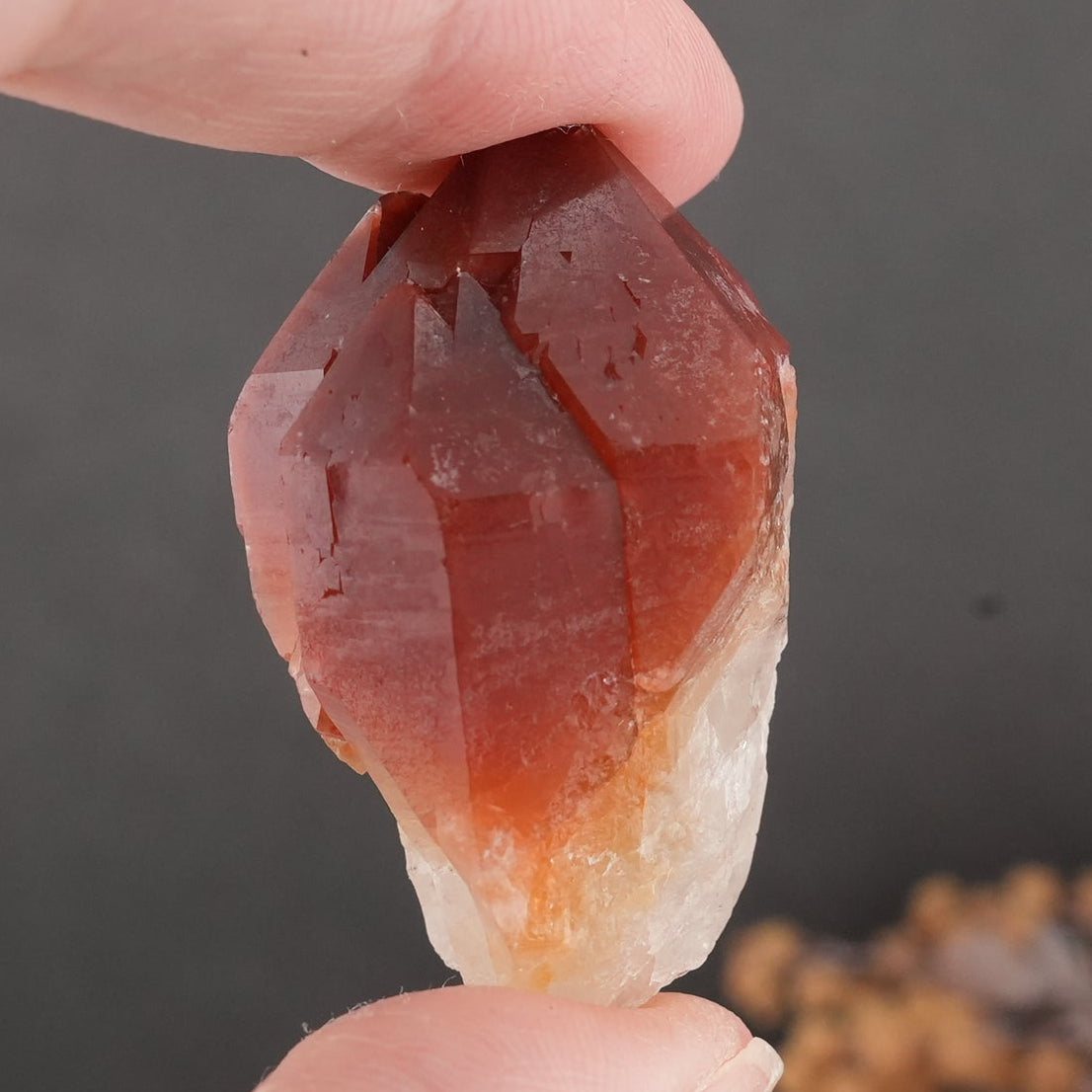 天然石 レッドドリームコート レムリアンシード マスタークリスタル｜内なる記憶を呼び覚ます、赤の叡智