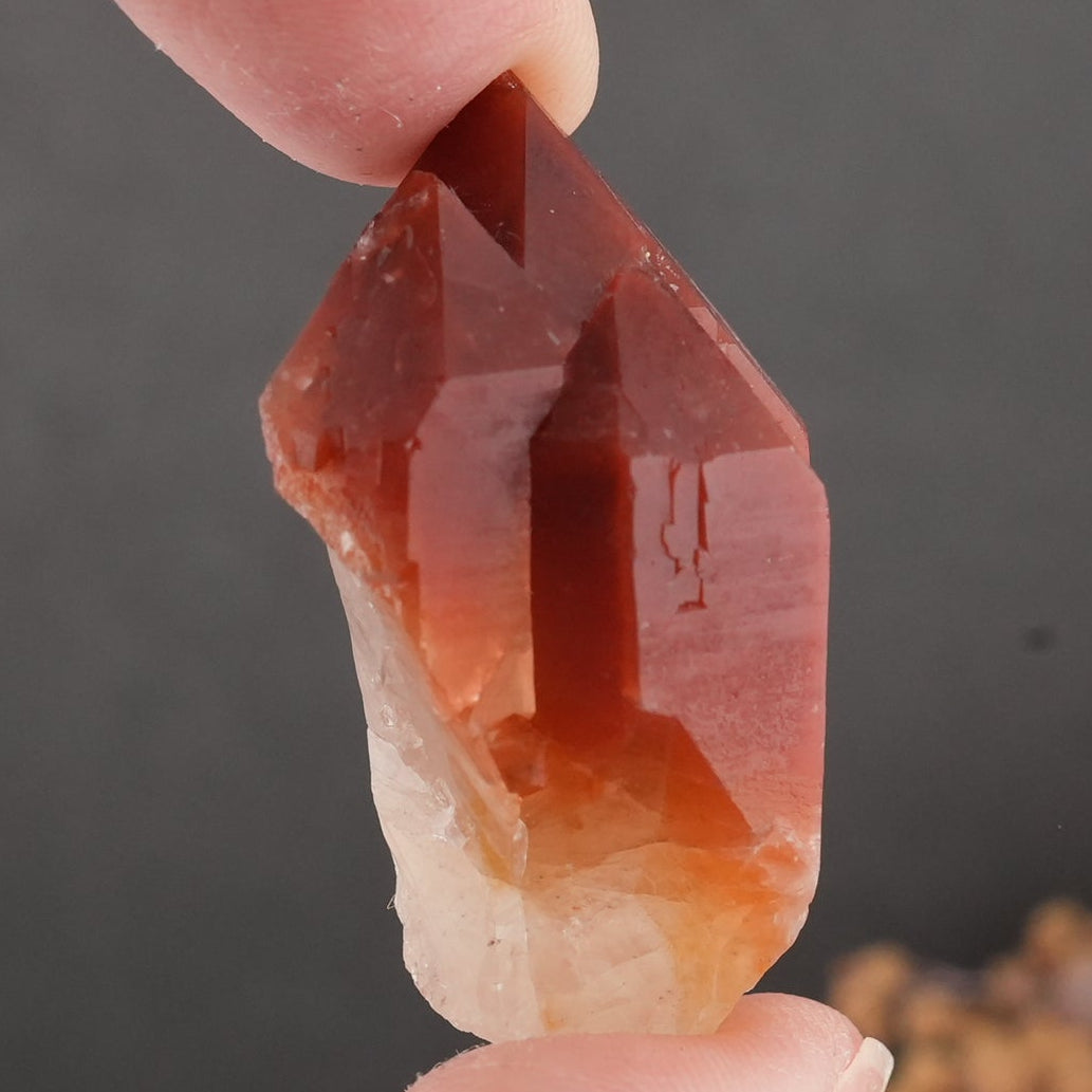 天然石 レッドドリームコート レムリアンシード マスタークリスタル｜内なる記憶を呼び覚ます、赤の叡智