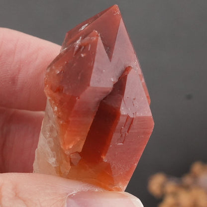 天然石 レッドドリームコート レムリアンシード マスタークリスタル｜内なる記憶を呼び覚ます、赤の叡智