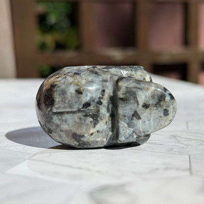 ラルビカイト スカル 骸骨 ドクロ  Larvikite Skull