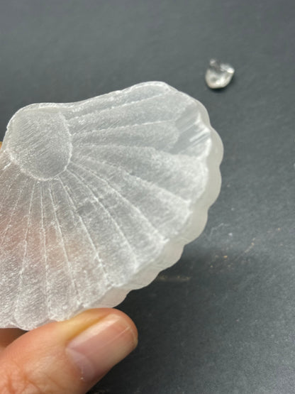 セレナイト 貝 シェル 浄化プレート A｜未来へ進む意図を澄ませる光の守り