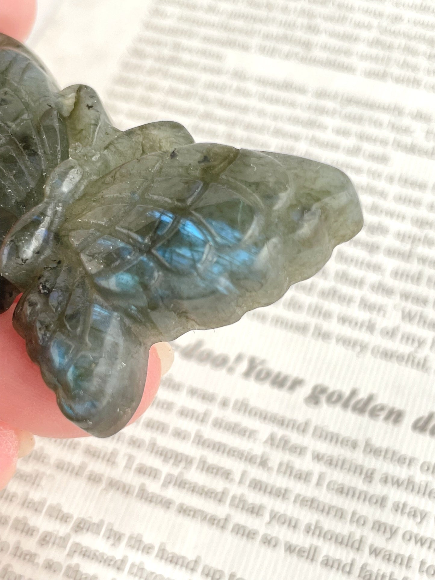 新しい自分に出会える石｜ラブラドライト 蝶形 Labradorite Butterfly