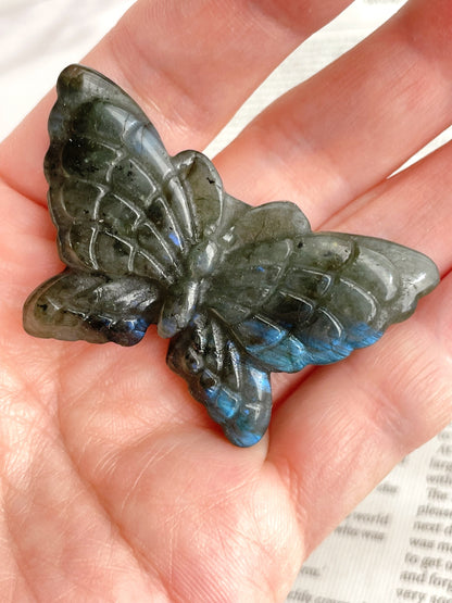 新しい自分に出会える石｜ラブラドライト 蝶形 Labradorite Butterfly