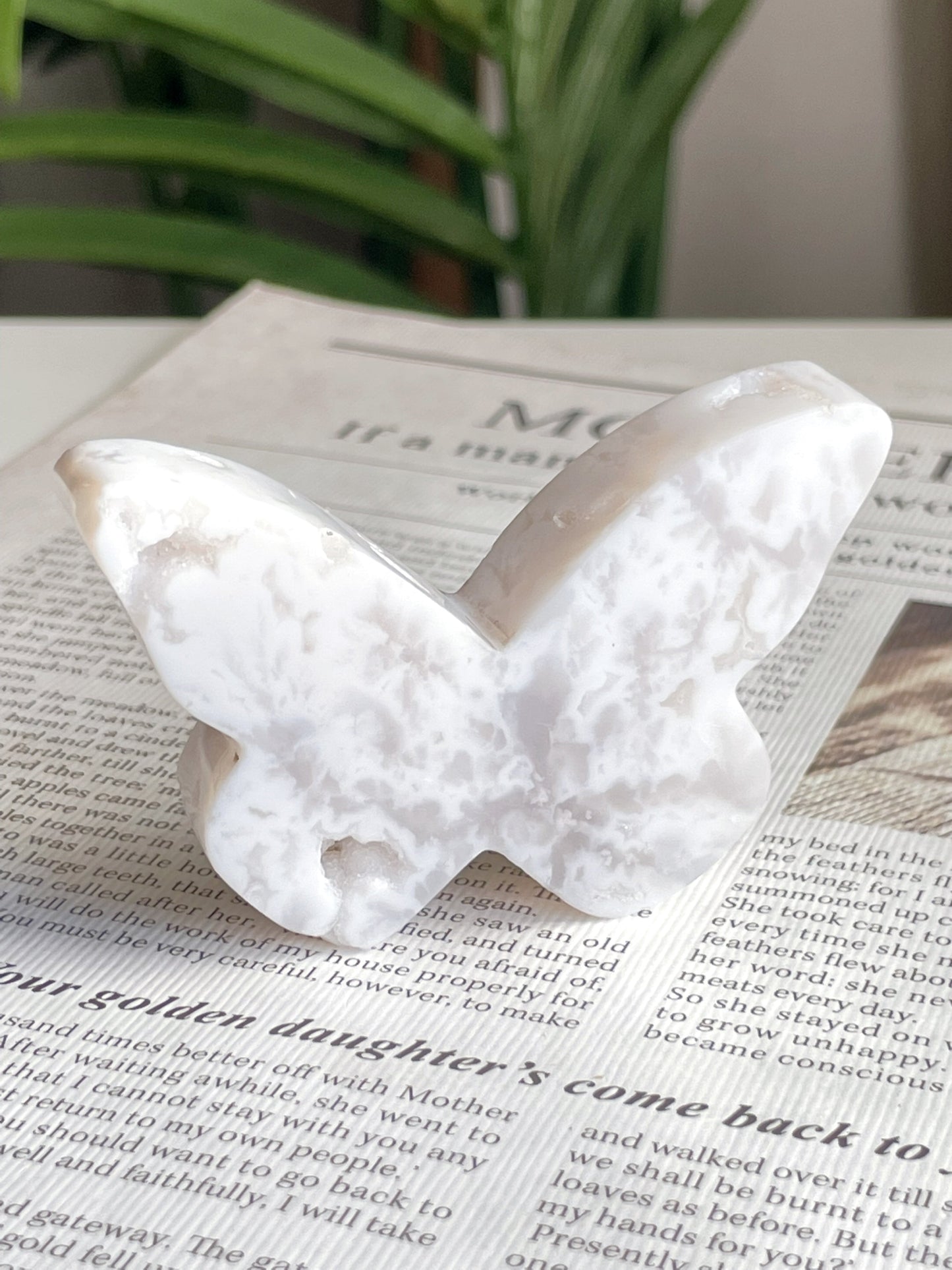 ありたい自分になれる石｜バタフライ瑪瑙 Butterfly Agate